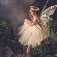 Fée Morgane